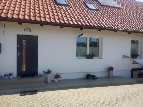 Bartazek Apartamento | Mieszkanie nad jeziorem Olsztyn