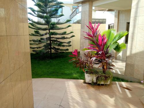 Lome Apartamento | Mikevilla 3