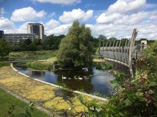 Tower Hamlets Casa | Mile End Suites