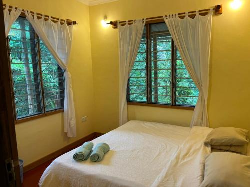 Lushoto Cabina | Milemeleni Guesthouse