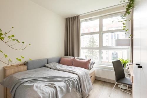 Wesola Apartamento | MILESTONE Krakow Center Student Living
