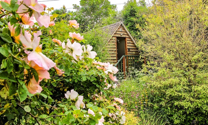 Diddlebury Cabaña | Milford Tree Tops