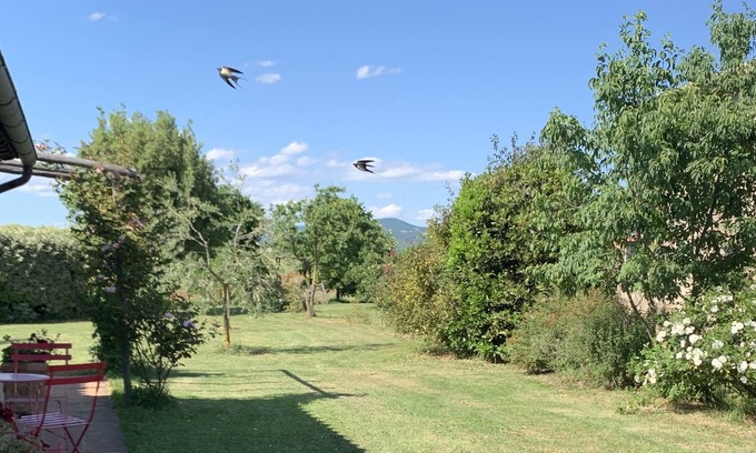 Orvieto Apartamento | Milva's Nest Botto