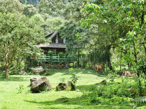 Mindo Casa | Mindo Eco Chalet con Rio y Cascada