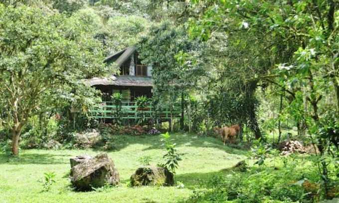 Mindo Casa | Mindo Eco Chalet con Piscina natural y Cascadas