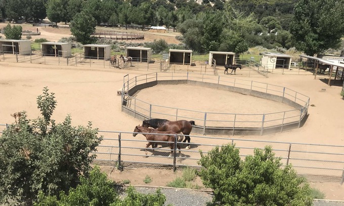 Pine Valley Apartamento | Mini Dude Ranch. Working Horse ranch, studio, Pet friendly, Mountain Views