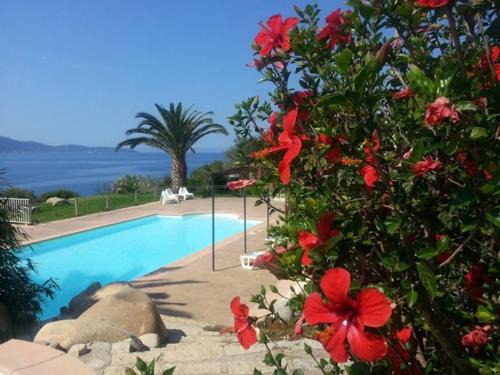 Olmeto Apartamento | Mini villa n2