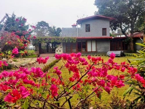Belparao Casa | Minivets Nest