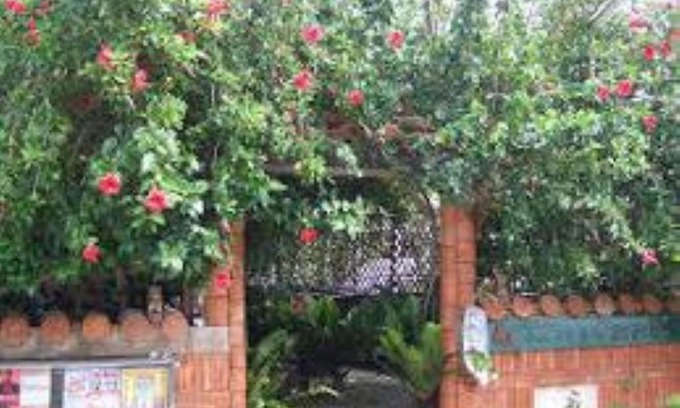Kohagura Casa | Minshuku Itoman Garigari Oshiro - Vacation STAY 25712v