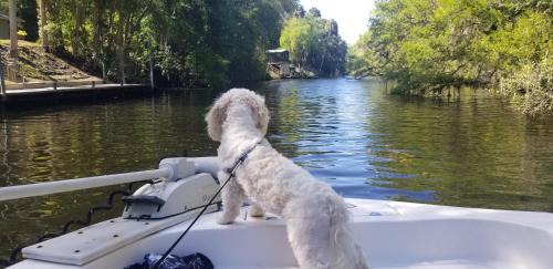 Crystal River Casa | Minutes to boat ramps and beach and private pool!