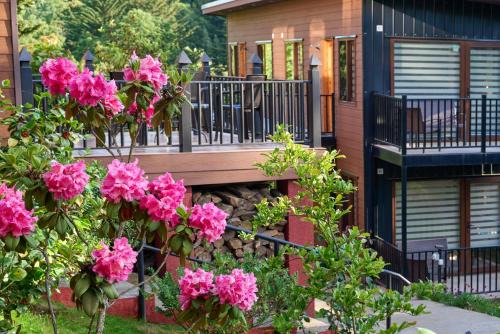 Osorno Apartamento | Mirabosque aparment Ejecutivos 6