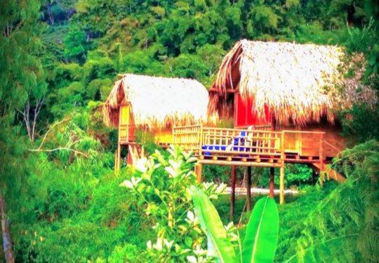 Papare Casa | Miradores Del Oso Perezoso