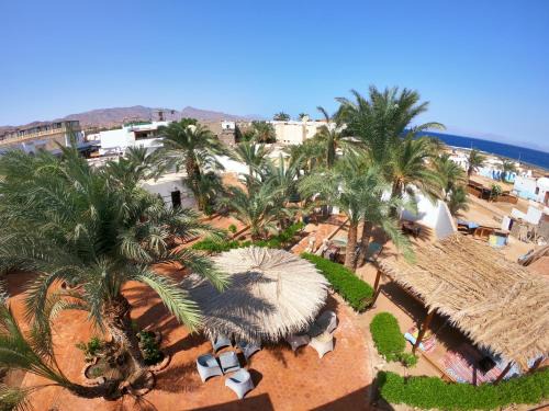 Dahab Hotel | Miramar Camp Dahab