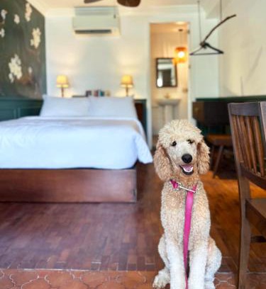 Bagong Lipunan Ng Crame Apartamento | MiraNamin Nest CALACHUCHI Room in Unique Historic Home - Balcony, Rooftop, Garden View, Shared Kitchen, Pet Friendly with a Fee