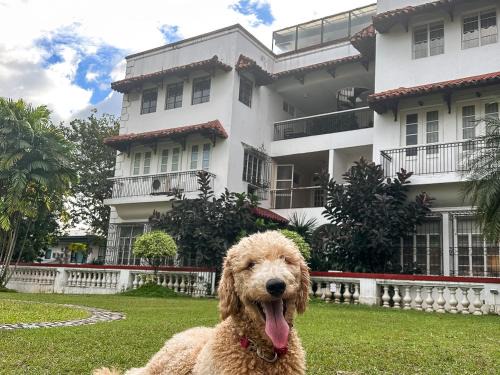 Bagong Lipunan Ng Crame Apartamento | MiraNamin Nest KAMANTIGI Room in Unique Historic Home - Garden Access, Shared Kitchen, Pet Friendly with a Fee