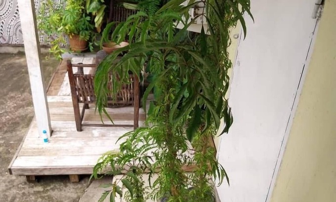 Monrovia Casa | Miss. Emily Place