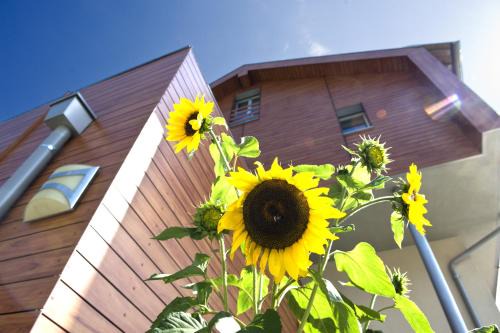 Schenna Apartamento | mittendorf klimaresidence