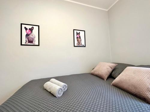 Siedlce Casa | MMRent Bubble Gum Room