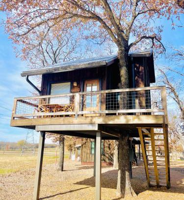 Elm Mott Otro | Mockingbird Treehouse 15 MIN to MagnoliaBaylor