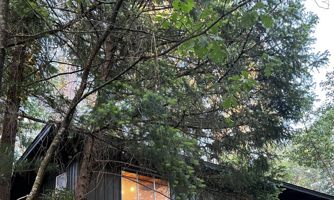 Cobb Cabina | Modern and beautiful renovated cabin in Lush Lake County!