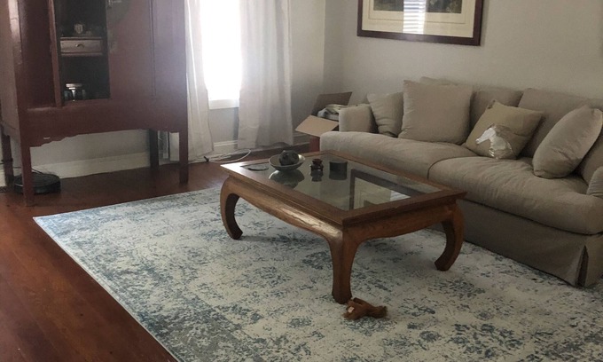 Harleston Village Casa | Modern and Spacious home with a fantastic, central, downtown location