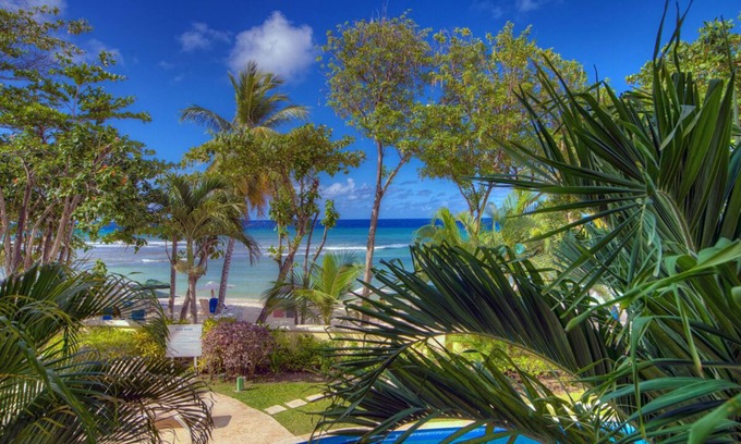 Gibbs Bay Apartamento | Blue Point - Privacidad y elegancia