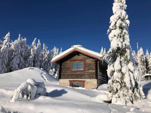 Orsa Chalet De Esquí | Modern cottage winter house
