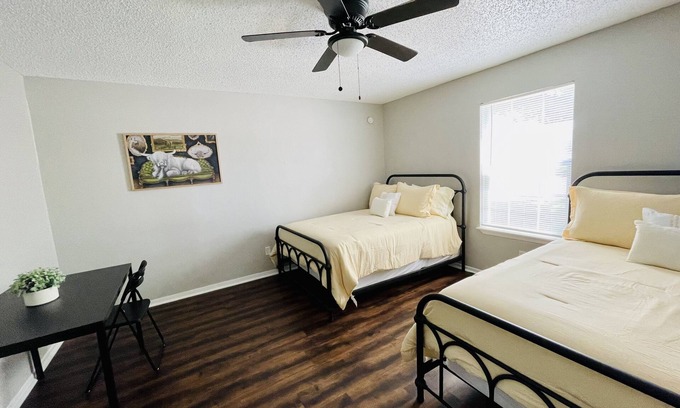 Mahncke Park Apartamento | Modern Gem Near Fort Sam Houston
