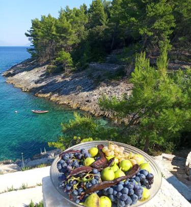 Vela Luka Casa | Modern Robinson Veli Bare