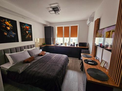 Onesti Apartamento | Modern Studio 3