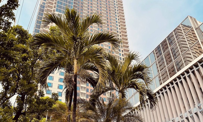 Ermita Condominio | Modern Studio with Sunset View