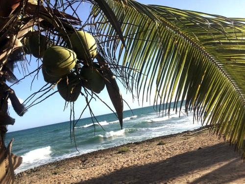 Villas Del Mar Apartamento | Modern, Welcoming Studio, Ocean View in Juan Dolio