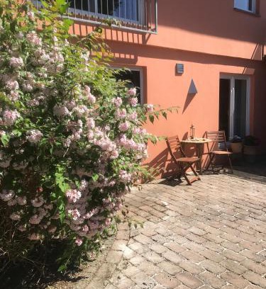 Gallin Apartamento | Moderne großzügige Souterrainwohnung Zarrentin Gallin Schaalsee Natur Wald Wasser