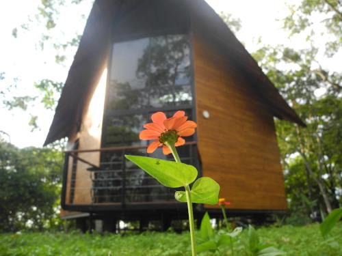 Viota Cabina | Mogambo Ecolodge