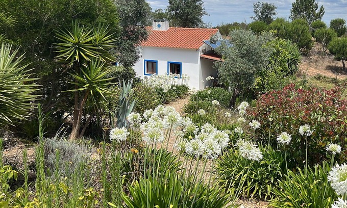 Santiago do Cacem Apartamento | Moinhos do Paneiro - Casa Mana