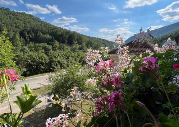 Mokra Gora Apartamento | Mokra Gora Central Apartments