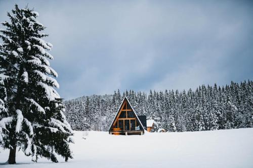 Campulung Moldovenesc Chalet De Esquí | Moldav-A Frame
