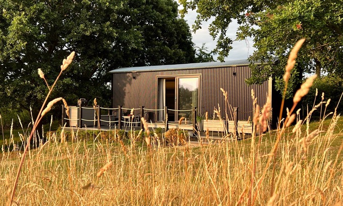 Marsham Cabina | Molly, nestled in a peaceful farm in Marsham, North Norfolk