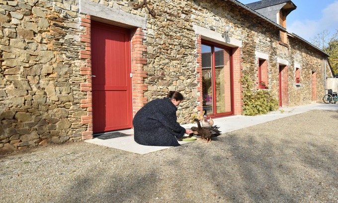 Challain-la-Potherie Casa | Mon Savoureux Jardin: cómoda casa de campo para amantes de los animales