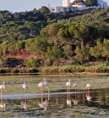 Menorca Casa | Mongofre Agroturismo