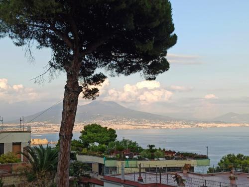 Naples Apartamento | MONOCAMERA con TERRAZZOgiardino -STUDETTE -zona Panoramica POSILLIPO