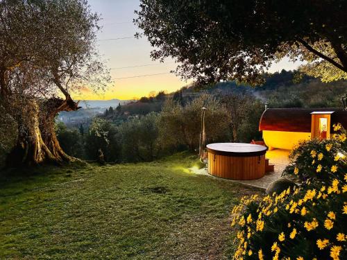 Chiusi Casa | Montebello degli Olivi