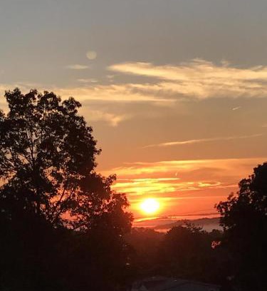 Tryon Casa | Moore Road Cabin 3 Pet Friendly