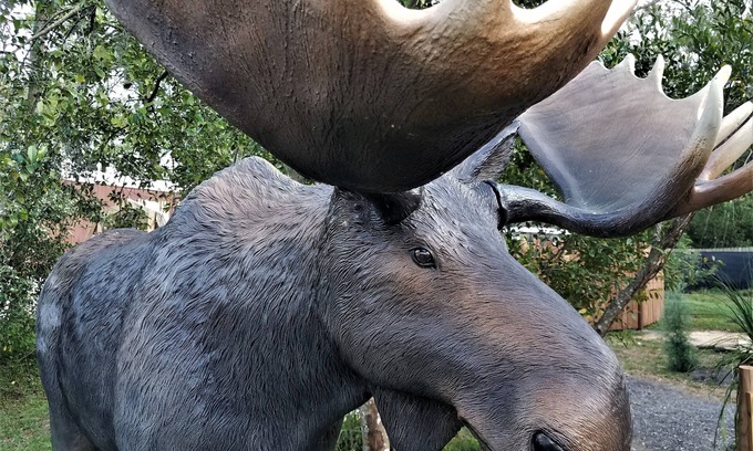 Dade City Casa | La cabaña Lazy Moose a solo 5 minutos del centro de Dade City