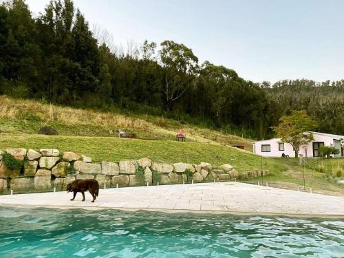 Kangaroo Valley Casa | Moosewood House, Kangaroo Valley