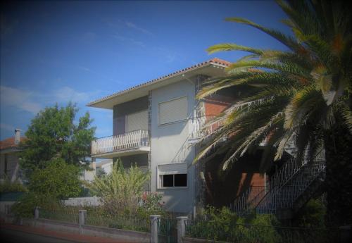 Santa Comba Dao Casa | Moradia santa comba