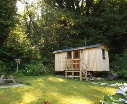 Carmarthen Otro | 'Morris' the shepherd's hut and woodland hot tub experience