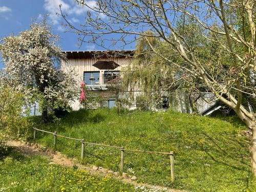 Issel Apartamento | Moselglück