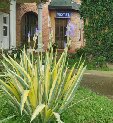 Dvorovi Hotel | Motel Zoka