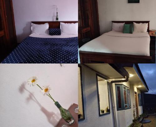 Nuwara Eliya Chalet De Esquí | Mount View Cottage